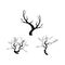 Scary tree silhouette vector design collection on a white background for Halloween. Halloween spooky dead tree silhouette design