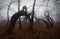Scary twisted trees in mysterious haunted forest with fog