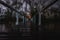 Scary view from the dock of an abandoned lake house surrounded by the contour of creepy trees