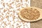 Scattered buckwheat grains. Healthy food. White background. Wooden spoon