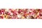 Scattered colored flower petals border on blurred background close up, delicate flowers petals soft focus frame