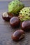 Scattered Conker Fruit and Shells