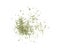 Scattered dried parsley on white background