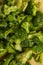 Scattered frozen broccoli on a wooden board.