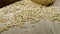 Scattered grain of wheat with bread on the table. Stock footage. Traditional homemade bread made according to old