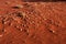 Scattered pebbles in a west Australian desert