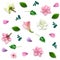 Scattered realistic flowers on white background