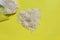 Scattered rice grains on a yellow background. Transparent plastic bag.