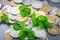 Scattered Russian coins on a gray background with leaves of clover. Good luck, St. Patrick\'s day.
