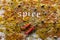 Scattered spices on table and word Spice