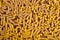 Scattered variety of uncooked golden wheat pasta on minimal brown background