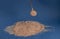 A scattering of Himalayan pink table salt and an old cupronickel spoon full of salt on a blue textured background