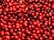 Scattering of large berries of cranberry