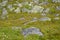 Scatterings of stones in the tundra in the north of the Kola Peninsula