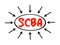 SCBA Social Cost Benefit Analysis - technique used for determining the value of money, specifically public investments, acronym