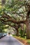 Scene along tree lined street in Savannah, Georgia on a spring day