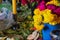 scene of an altar for the day of the dead in mexico with a corn a pumpkin on a carpet made with petals of marigold flowers,clay