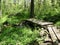 Scene on the Appalachian Trail in Pennsylvania