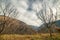 scene of Autumn in mountains in Indian Himalaya