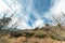 scene of Autumn in mountains in Indian Himalaya