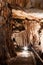 Scene from the bulgarian cave Saeva Dupka