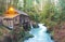 Scene of the Cedar creek grist mill in the morning,Washington,usa.