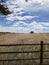 Scene from the Entrance at Wyoming Hereford Ranch since early 1800& x27;s