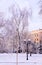 Scene with frosted trees in city park