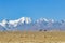 Scene of a herd of horses grazing in a picturesque meadow with majestic mountains in the background