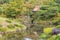 Scene at Isuien Garden in Nara, Japan