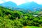 Scene from Montefortino with vegetation, thickets, meadows and Sibillini