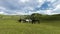 Scene of Morning Pasture. Herd of horses grazing in a pasture in the morning light