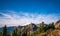 Scene of mt baker from Artist point hiking area,scenic view in Mt. Baker Snoqualmie National Forest Park,Washington,USA..