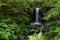 Scene with mystical waterfall and tropical forest, Japan