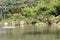 Scene at the Old Shukkeien Garden in Hiroshima, Japan