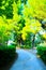 Scene from Parco della Repubblica in Sirolo with path, trees, trunks and hedges