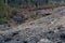 A scene post jungle fire on the mountain forest. Burnt soil after jungle fire