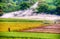 The scene of rape flowers and seeds in the fields in spring