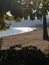 scene sand sunlight sea tree waves lake