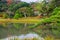 scene of Sankeien garden with trees and water in Yokohama, autumn background