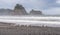 Scene of seagull on the beach with rock stack island on the background in the morning in Realto beach,Washington,USA..