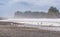 Scene of seagull on the beach with rock stack island on the background in the morning in Realto beach,Washington,USA..