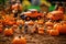Scene set in a pumpkin patch, families picking pumpkins, children in costumes and scarecrows
