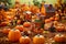 Scene set in a pumpkin patch, families picking pumpkins, children in costumes and scarecrows