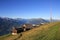 Scene on the summit of Mt Niederhorn