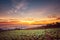 The Scene of Thailand about Big Cabbage farm on the mountain, Phu Tubburk, Thailand