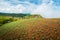 The Scene of Thailand about Big Cabbage farm on the mountain, Phu Tubburk, Thailand