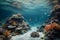 A scene of underwater coral reefs with tiny little fishes