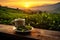 scene where a cup of tea is placed on a table, and beyond lies a breathtaking landscape view
