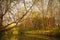 A scene from Xixi Wetland Marshes in hangzhou in China